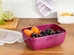 Емкость для хранения Stella 2300 мл