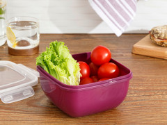 Емкость для хранения Stella 900 мл