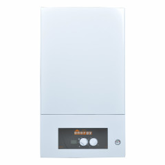 Газовый котел ENERGY GOLD