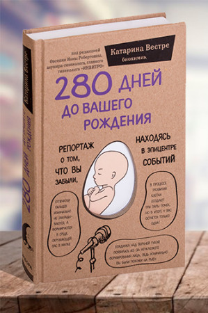 280 дней до вашего рождения. Репортаж о том, что вы забыли, находясь в эпицентре событий - image 1