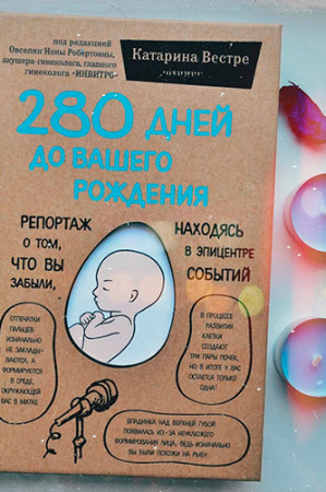 280 дней до вашего рождения. Репортаж о том, что вы забыли, находясь в эпицентре событий - image 2