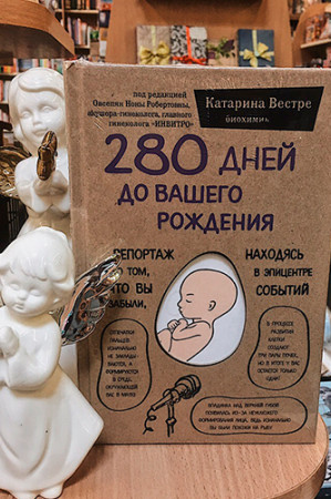 280 дней до вашего рождения. Репортаж о том, что вы забыли, находясь в эпицентре событий - image 4