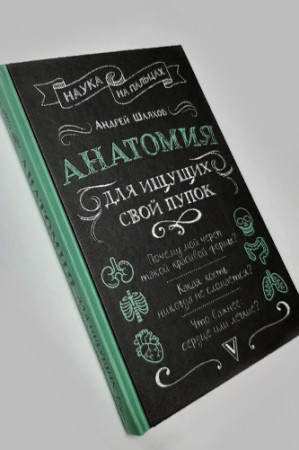 Анатомия для ищущих свой пупок - image 2