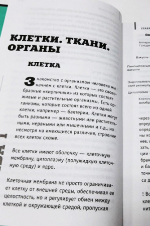 Анатомия для ищущих свой пупок - image 4