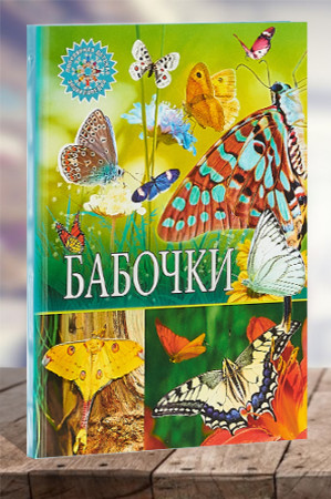 Бабочки - image 1