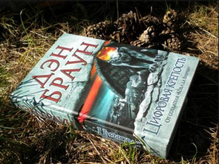 Цифровая крепость - image 3