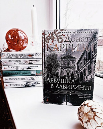 Девушка в лабиринте - image 2