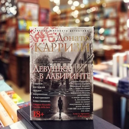 Девушка в лабиринте - image 3