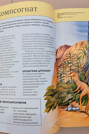 Динозавры. Полная энциклопедия - image 4