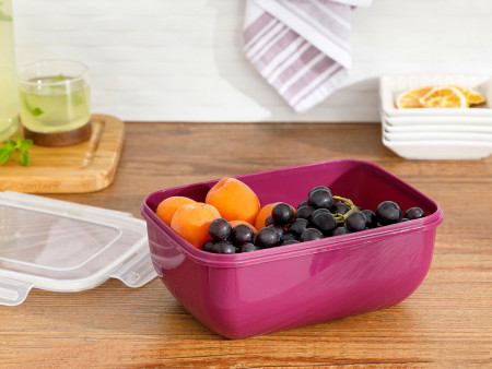 Емкость для хранения Stella 2300 мл - image 1