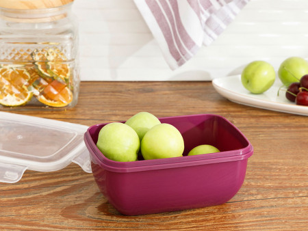 Емкость для хранения Stella 800 мл - image 1