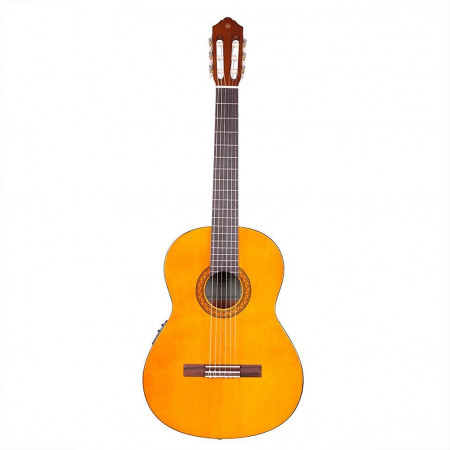 Гитара тәрізді фигуралары мен үлкен бөкселері бар 40 жастан асқан әйелдерді көрсететін порно