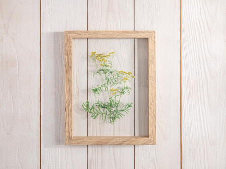 Картина Candy Flowers 20x2x25 см - image 1