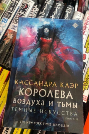 Королева воздуха и тьмы. Темные искусства. Книга 3 - image 3