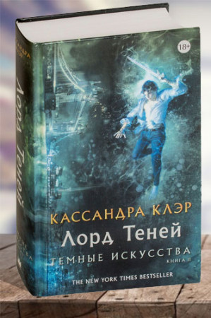 Лорд теней. Темные искусства. Книга 2 - image 1