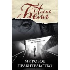 Мировое правительство. Роман, который изменит ваши представления о мире (Олег Белушкин) - image 1