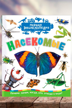 Насекомые. Первая энциклопедия - image 1