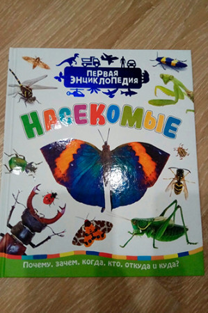 Насекомые. Первая энциклопедия - image 2