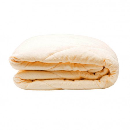 Одеяло ZAMBAK вельсофт молочное - image 4