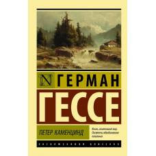 Петер Каменцинд - image 1