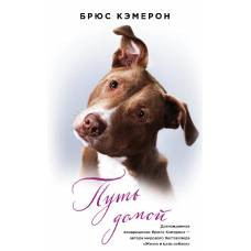 Путь домой (книга в полусупере) - image 1