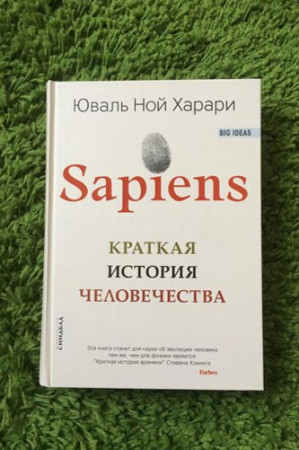 Sapiens. Краткая история человечества - image 3
