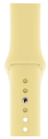 Смарт часы Apple Watch Series 5/40 mm Gold - image 1