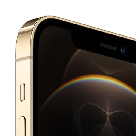 Смартфон iPhone 12 Pro max 128GB Gold - image 3