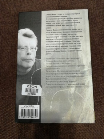 Темная башня: из цикла «Темная Башня» - image 4