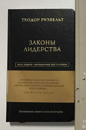 Теодор Рузвельт. Законы лидерства - image 3