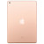 Планшет Apple iPad (2019) 128Gb Wi-Fi Gray, Silver, Gold thumb - 5